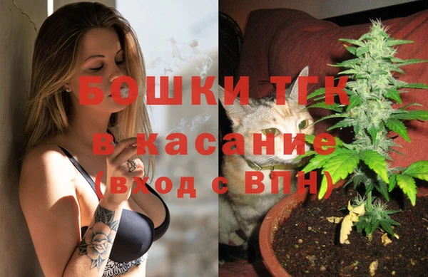 дживик Аркадак