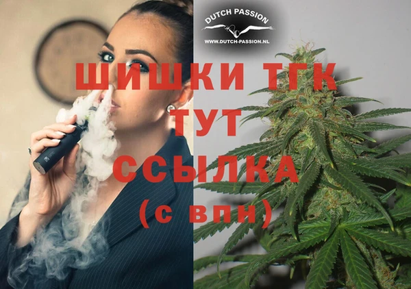гидра Арсеньев