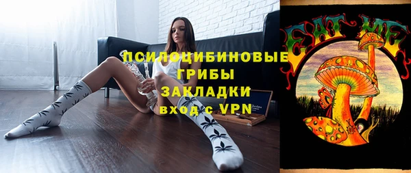гидра Арсеньев