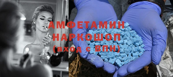 гидра Арсеньев