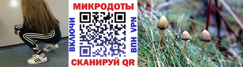 Псилоцибиновые грибы MAGIC MUSHROOMS  Чердынь 